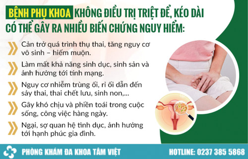 da khoa tam viet