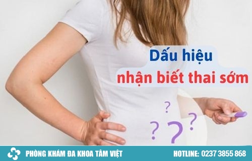 Dấu hiệu nhận biết thai sớm chị em cần lưu ý